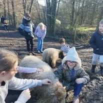 Photo de couverture de La Ferme des Enfants