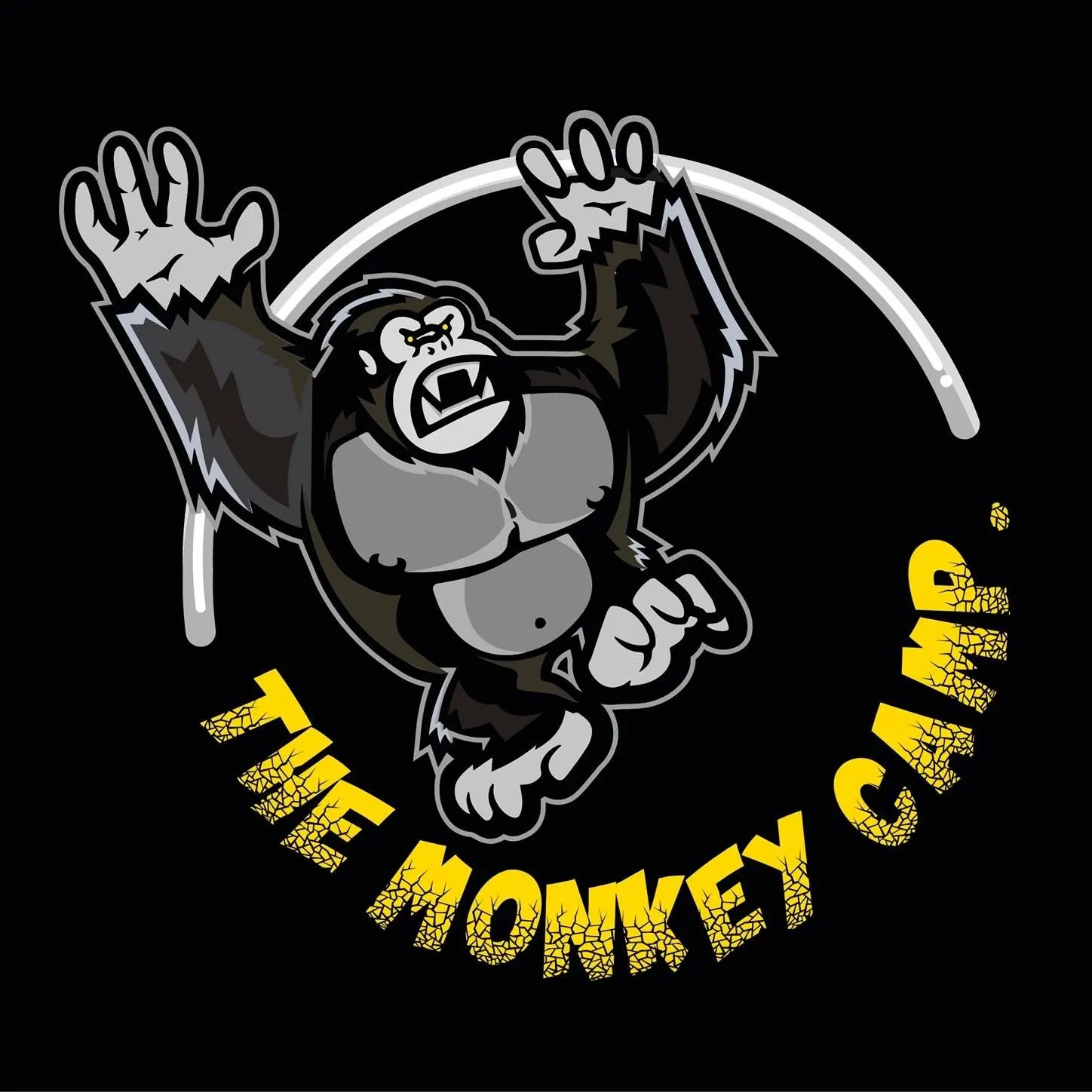 Photo de couverture de Vive le Sport