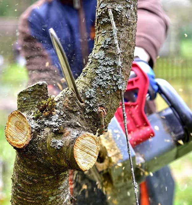 Photo de couverture de Ke Jardin