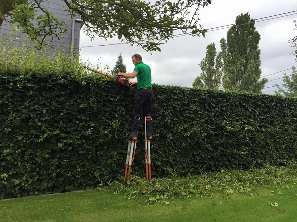 Photo de couverture de JARDIROC