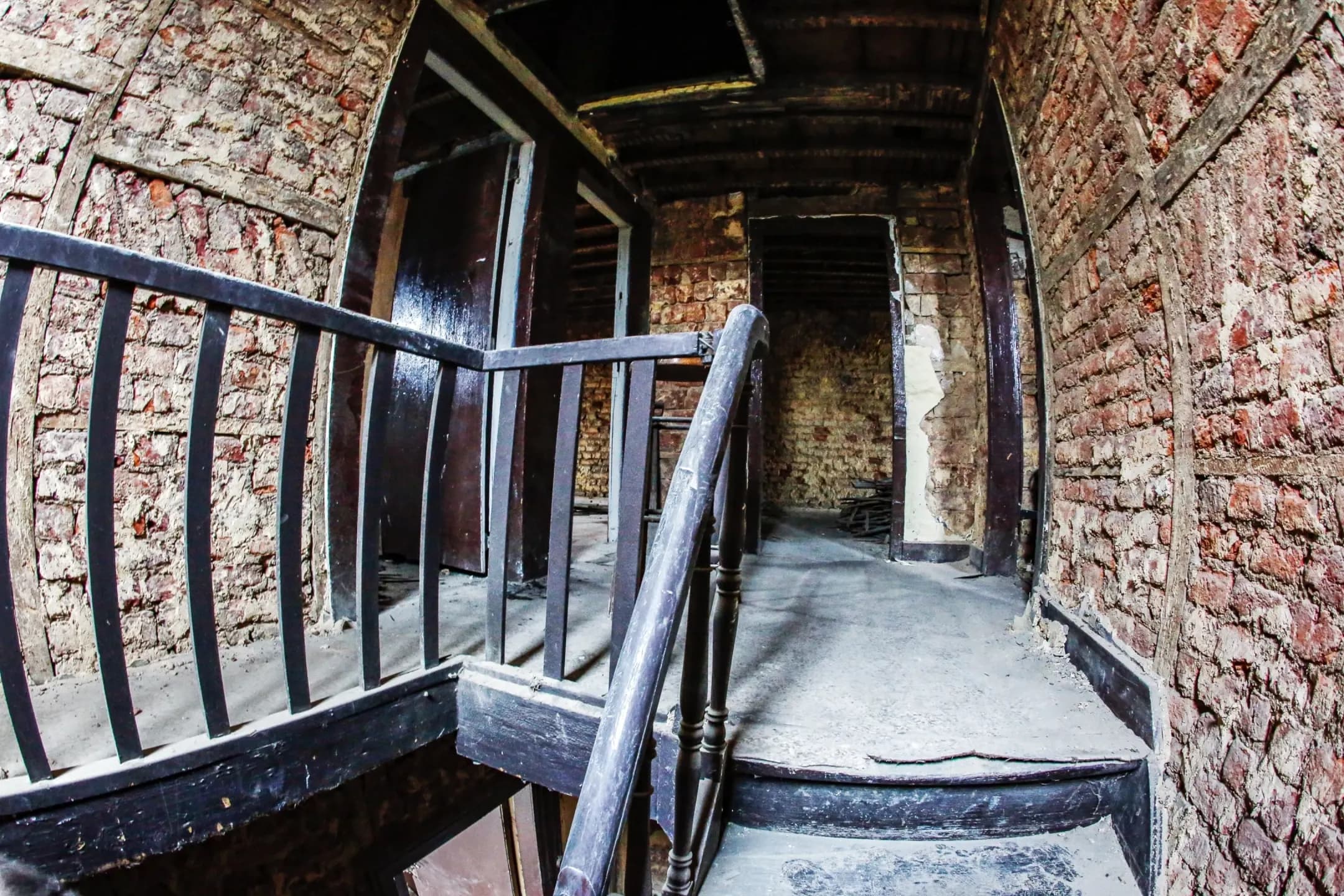 Photo de couverture de AM Services