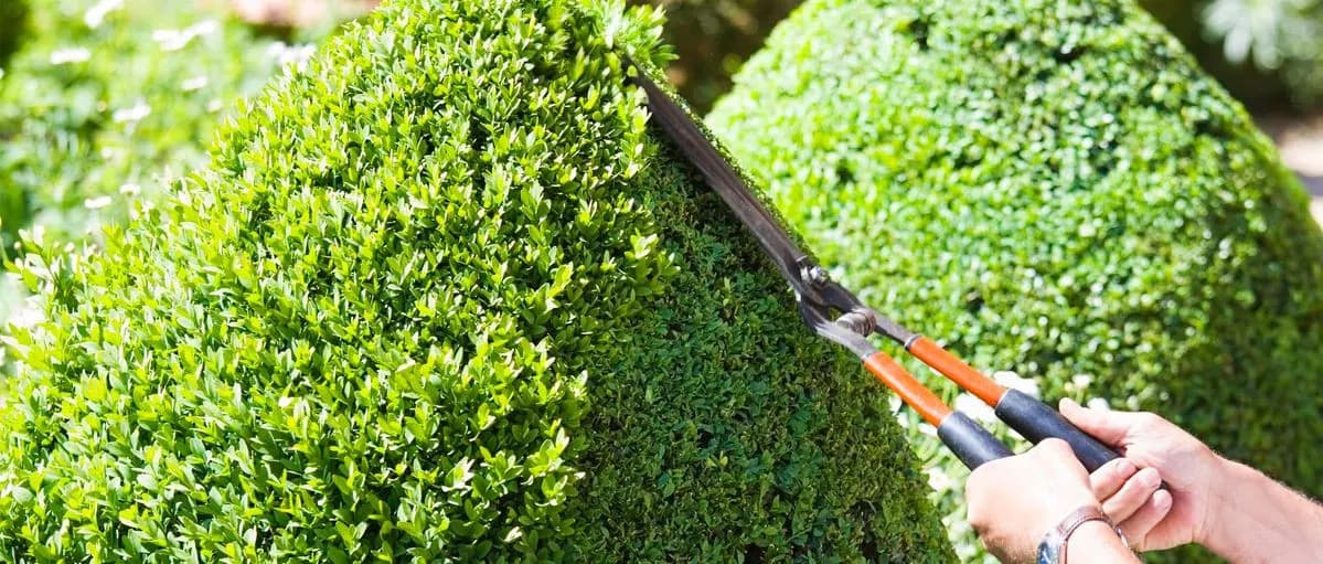 Photo de couverture de Hertay Jérom