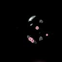 Logo de Mond\'Ô Douceurs (Massage à Burdinne)