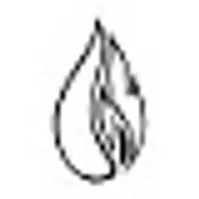 Logo de DS-Energies (Chauffagiste à Verviers)