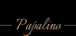 Logo Il Salone Papalino
