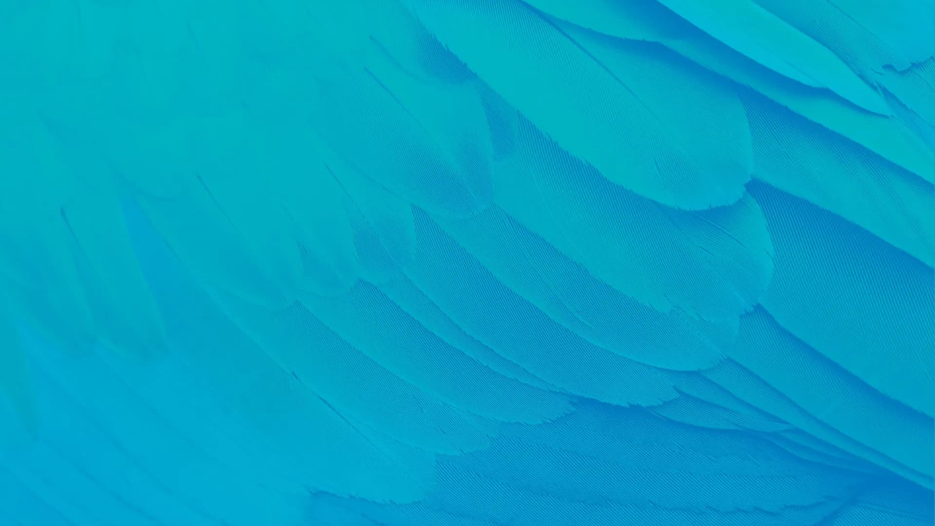 Photo de couverture de Le Jardin de Nanie