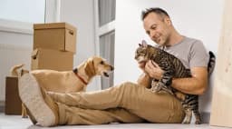 Logo Ans Déménagement