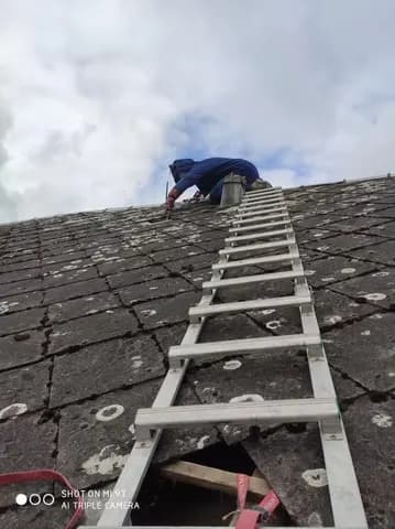 Photo de couverture de Prorisk Guêpes