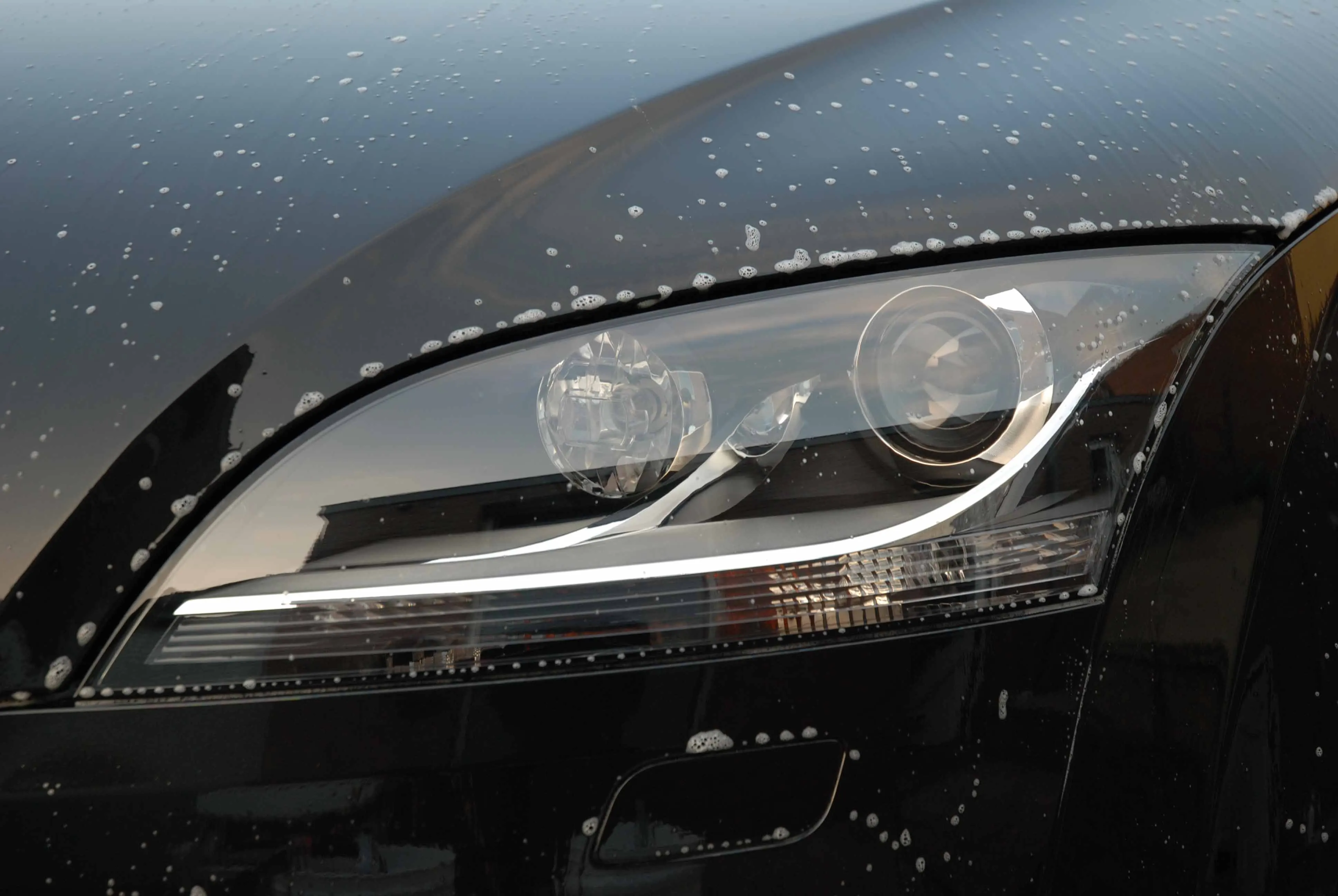 Photo de couverture de PytWax