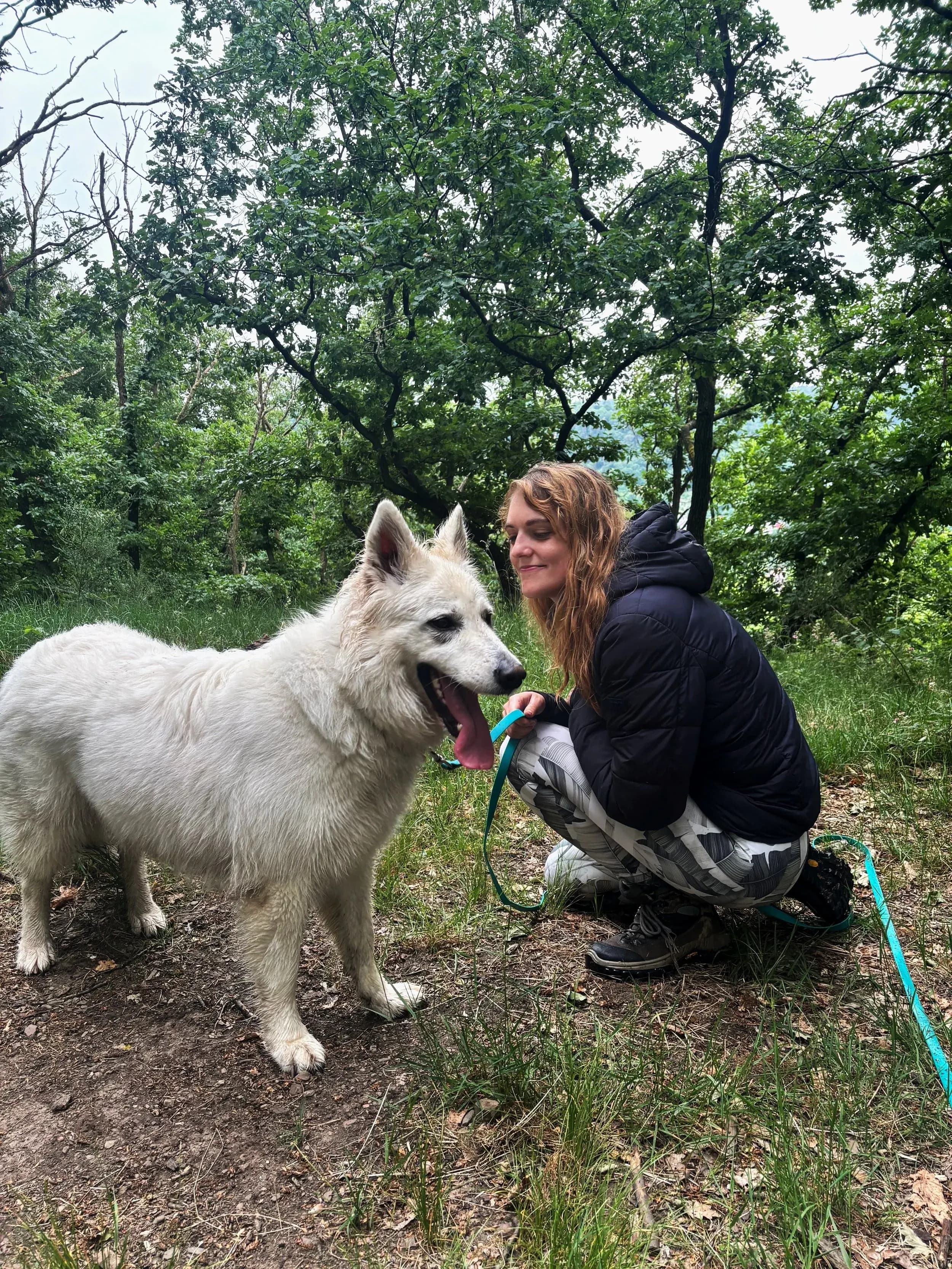 Photo de couverture de Baya Comportement