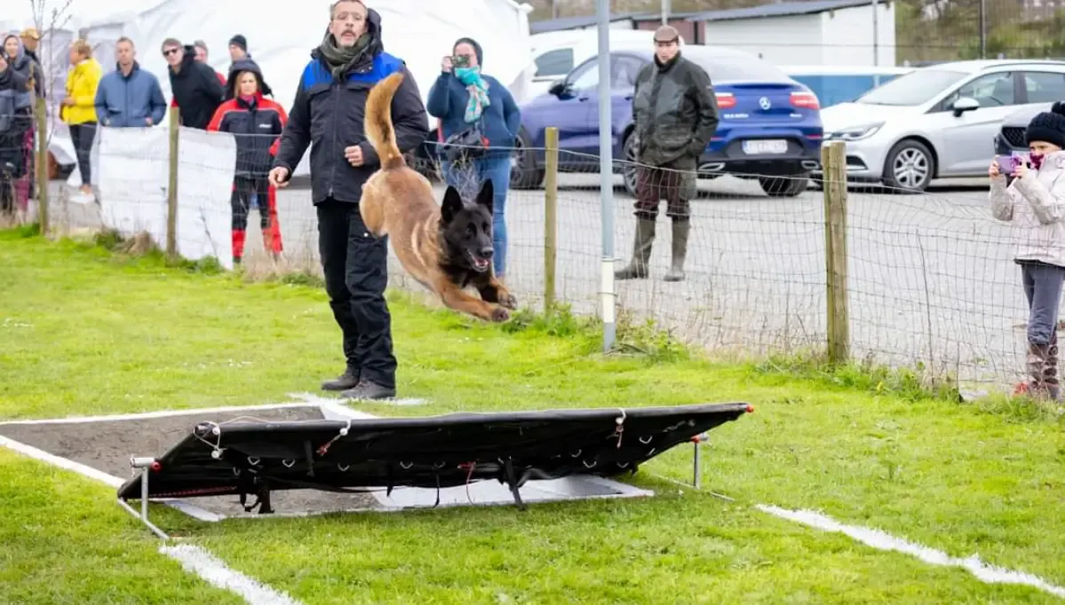 Photo de couverture de CECH – Hermalle-sous-Huy