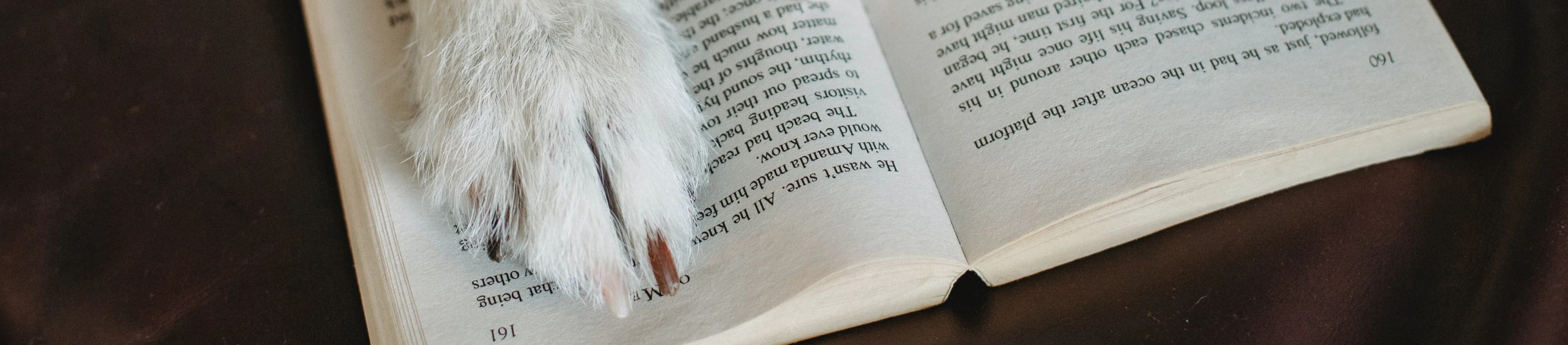 Photo de couverture de Club Canin Educachien Engis-Fagnes