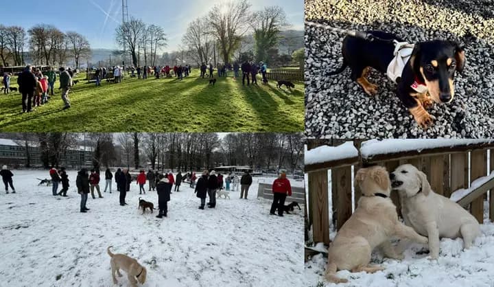 Photo de couverture de Club d'Education Canine d'Esneux