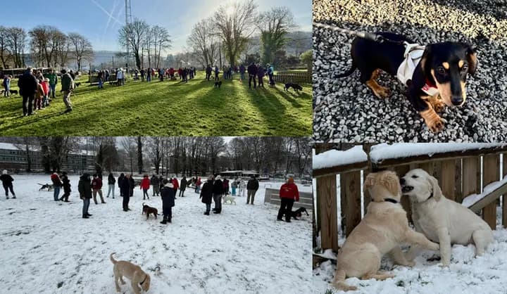 Photo de couverture de Club d'Education Canine d'Esneux