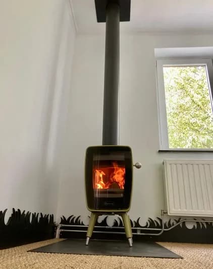 Photo de couverture de La Passion des Flammes