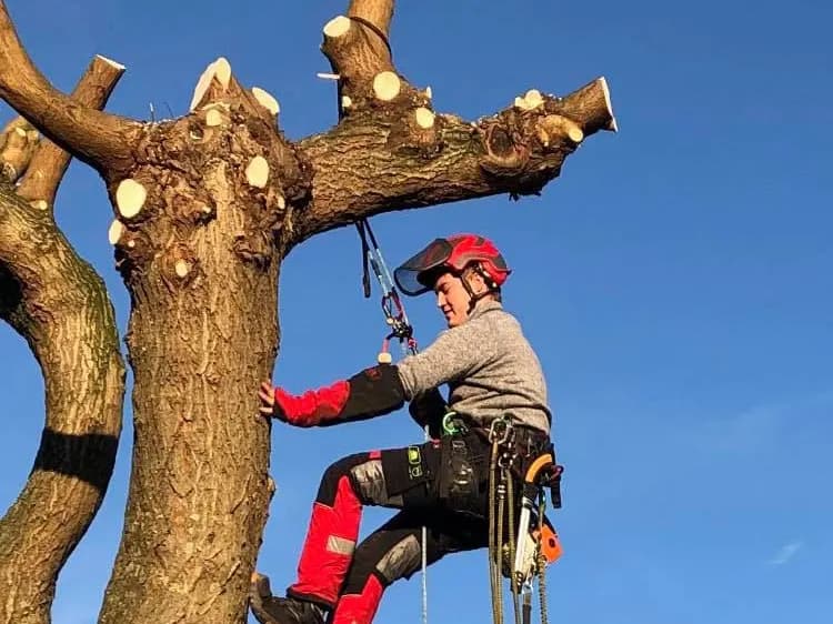 Photo de couverture de Daniel Truyman