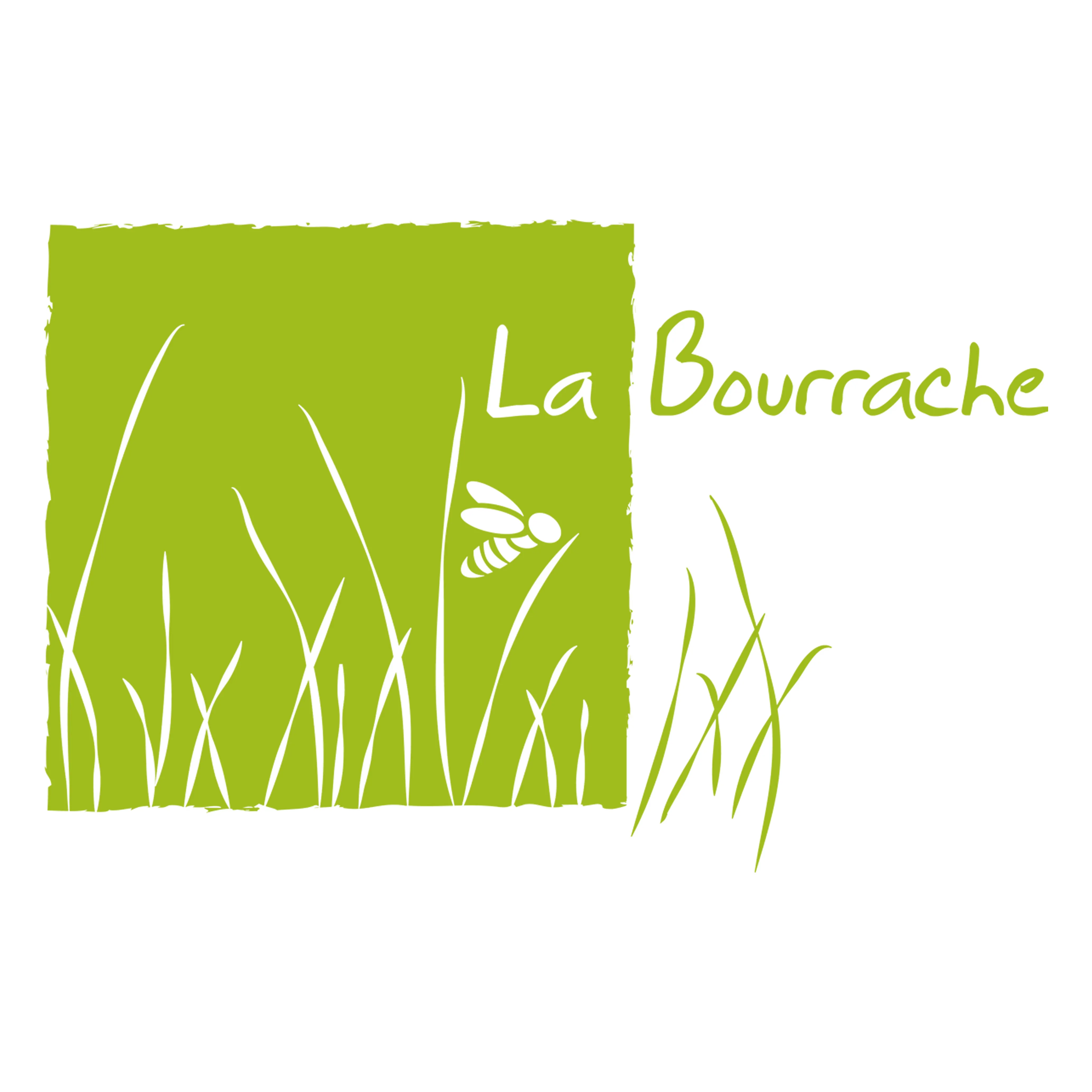 Photo de couverture de La Bourrache