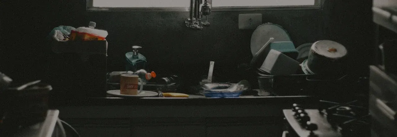 Photo de couverture de Fleet Wash