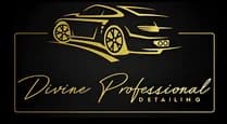 Logo Divine Professional Detailing