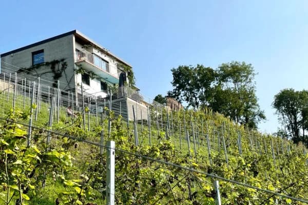 Photo de couverture de Le Clos Bois Marie