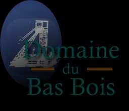 Logo Domaine du Bas Bois
