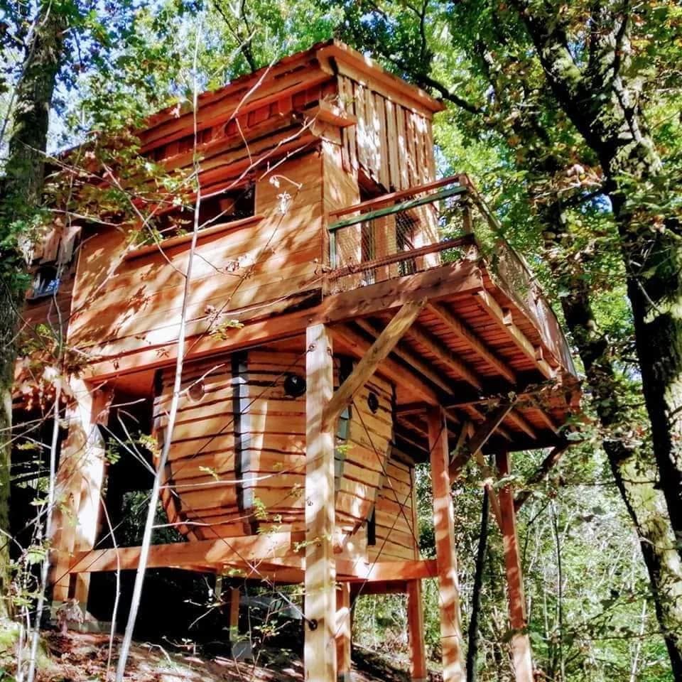 Photo de couverture de Mon lit dans l'arbre