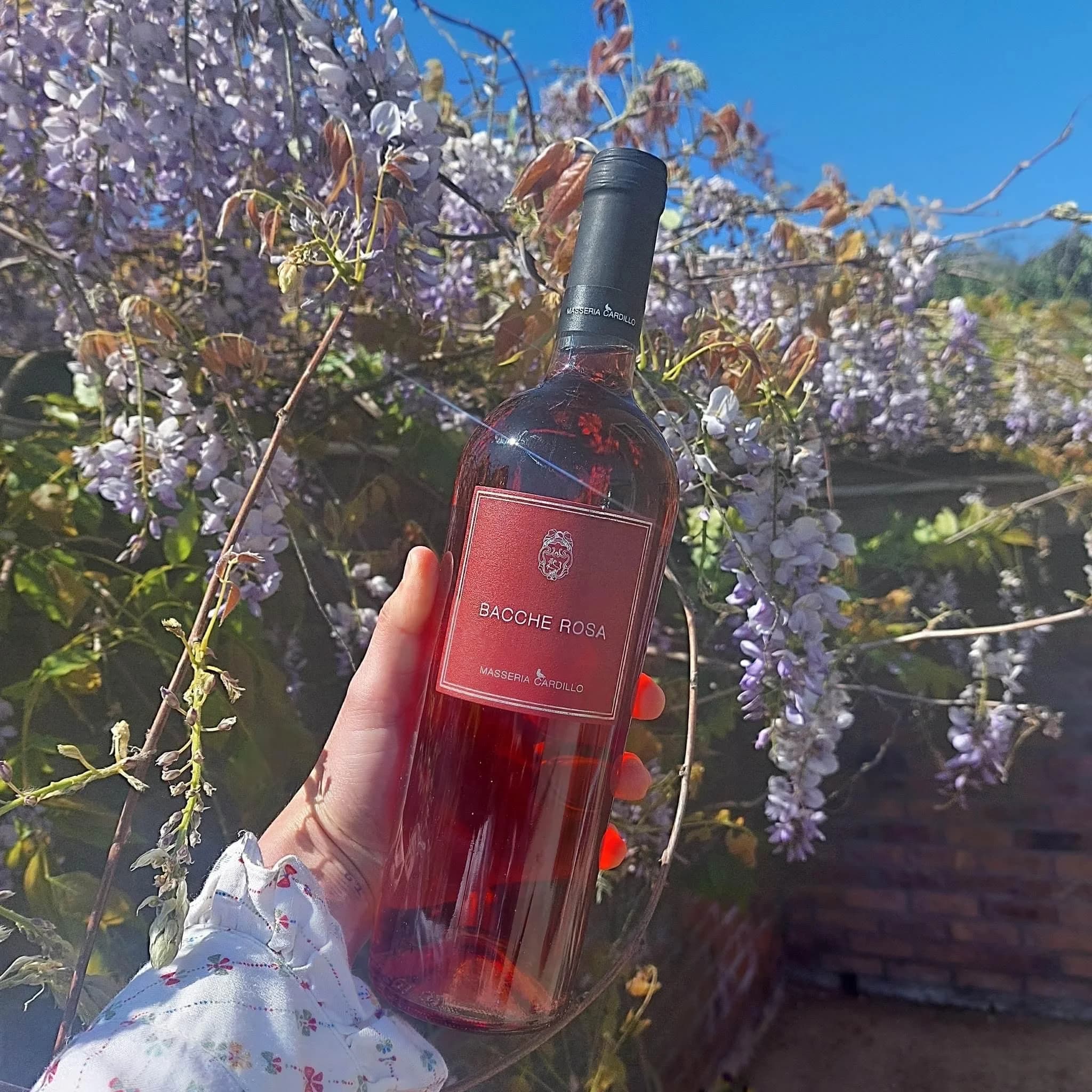 Les vins du domaine de Waroux