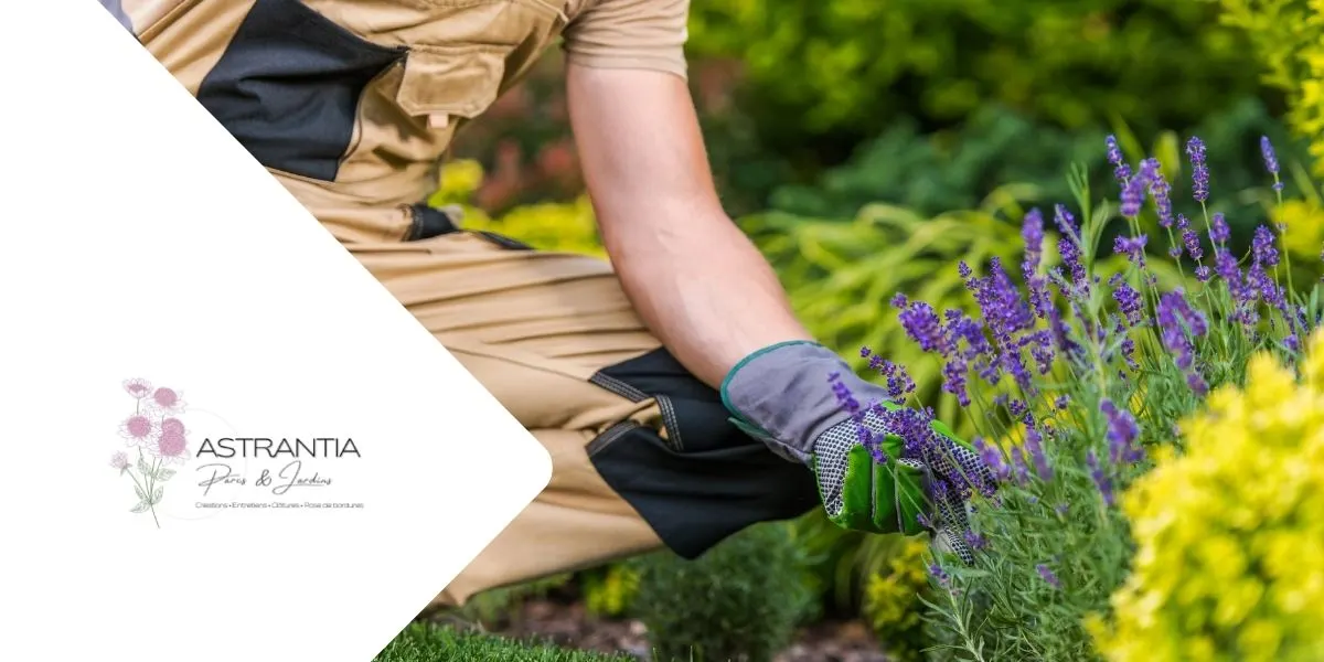 Photo de couverture de Astrantia Parcs et jardins