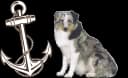 Logo de L'Ancre d'Asia (Pensions / pet-sitting à Grâce-Hollogne)
