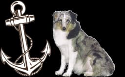 Logo L'Ancre d'Asia