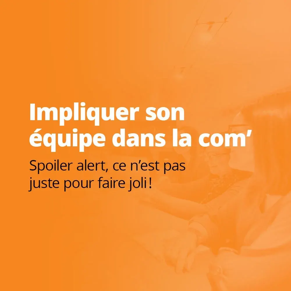 Photo de couverture de Moustic