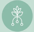 Logo ISANA