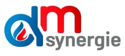 Logo DM Synergie