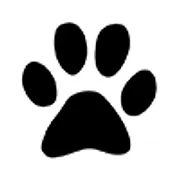 Logo de Dog Beauty (toiletteur canin à Saint-nicolas)