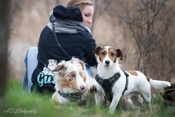 Photo de couverture de Gusby Toilettage