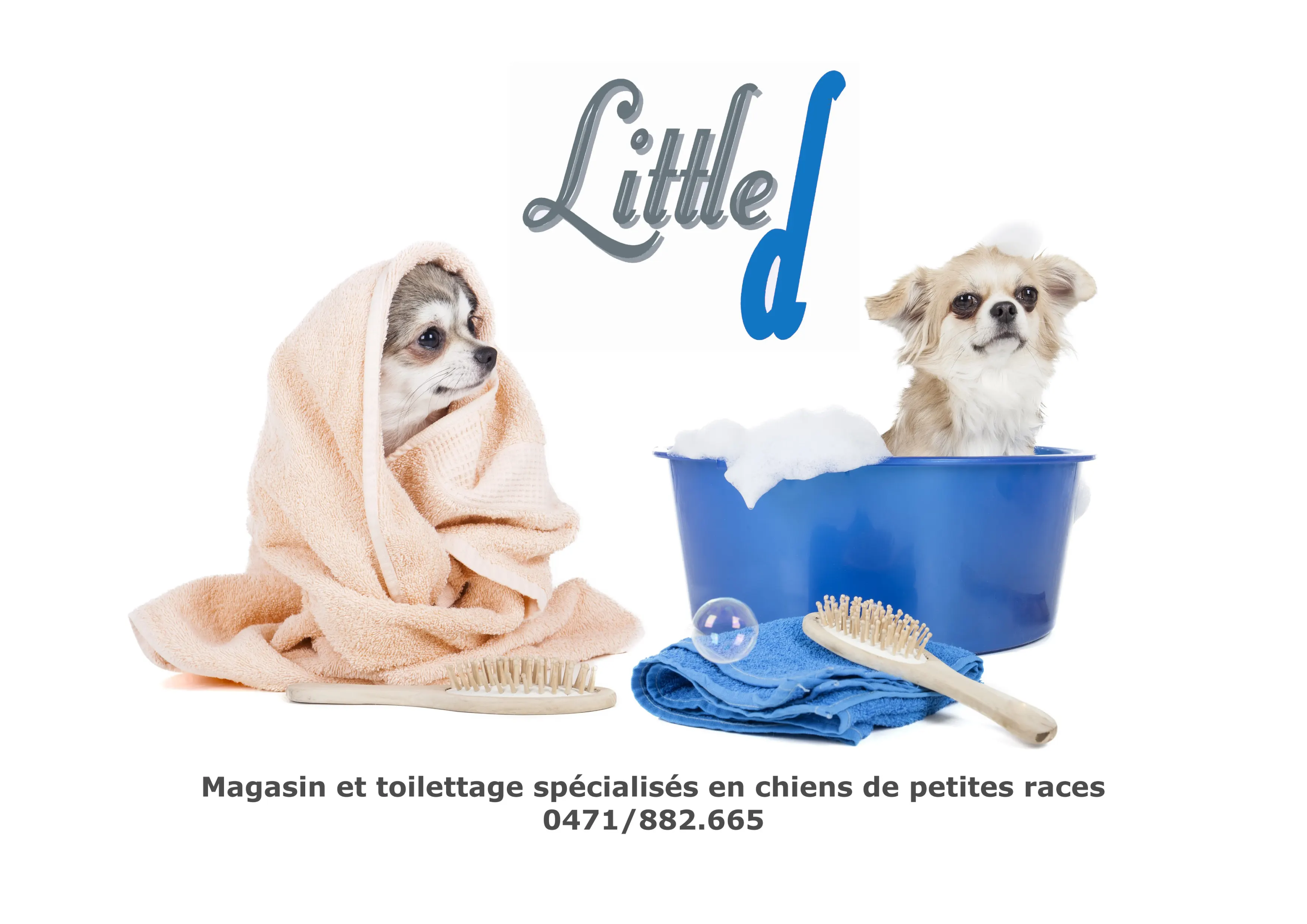 Photo de couverture de Little d