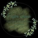 Logo de Popo'Chon (toiletteur canin à Liège)